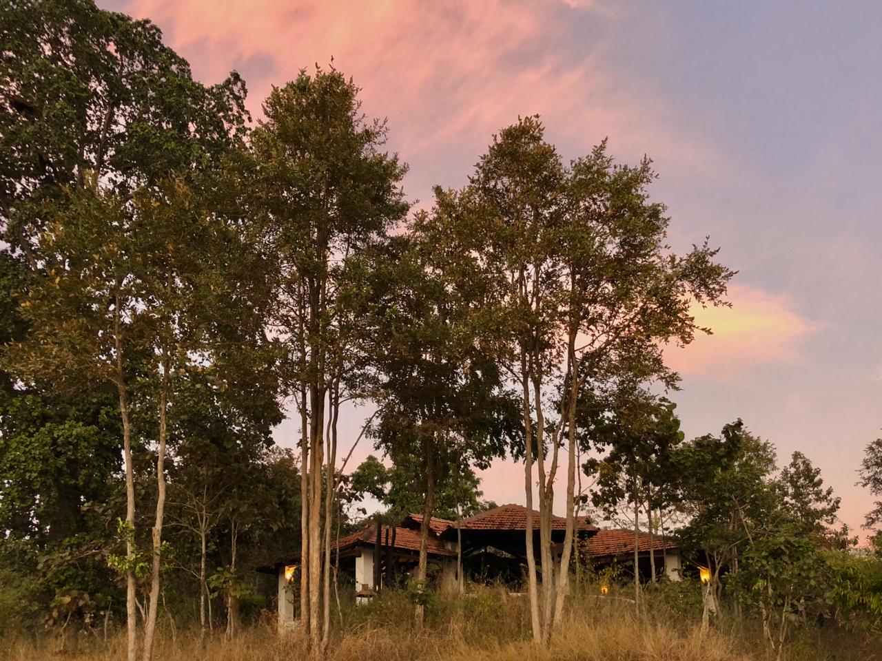 Flame of the Forest Lodge