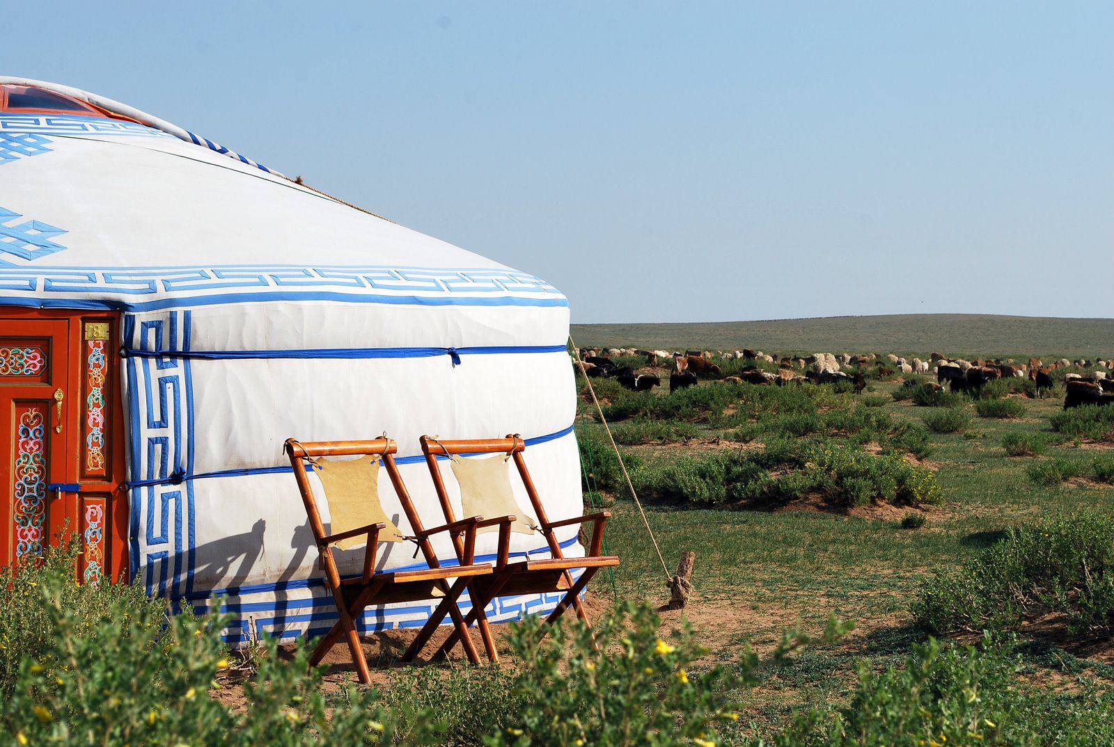 Ursa Major Ger Camp