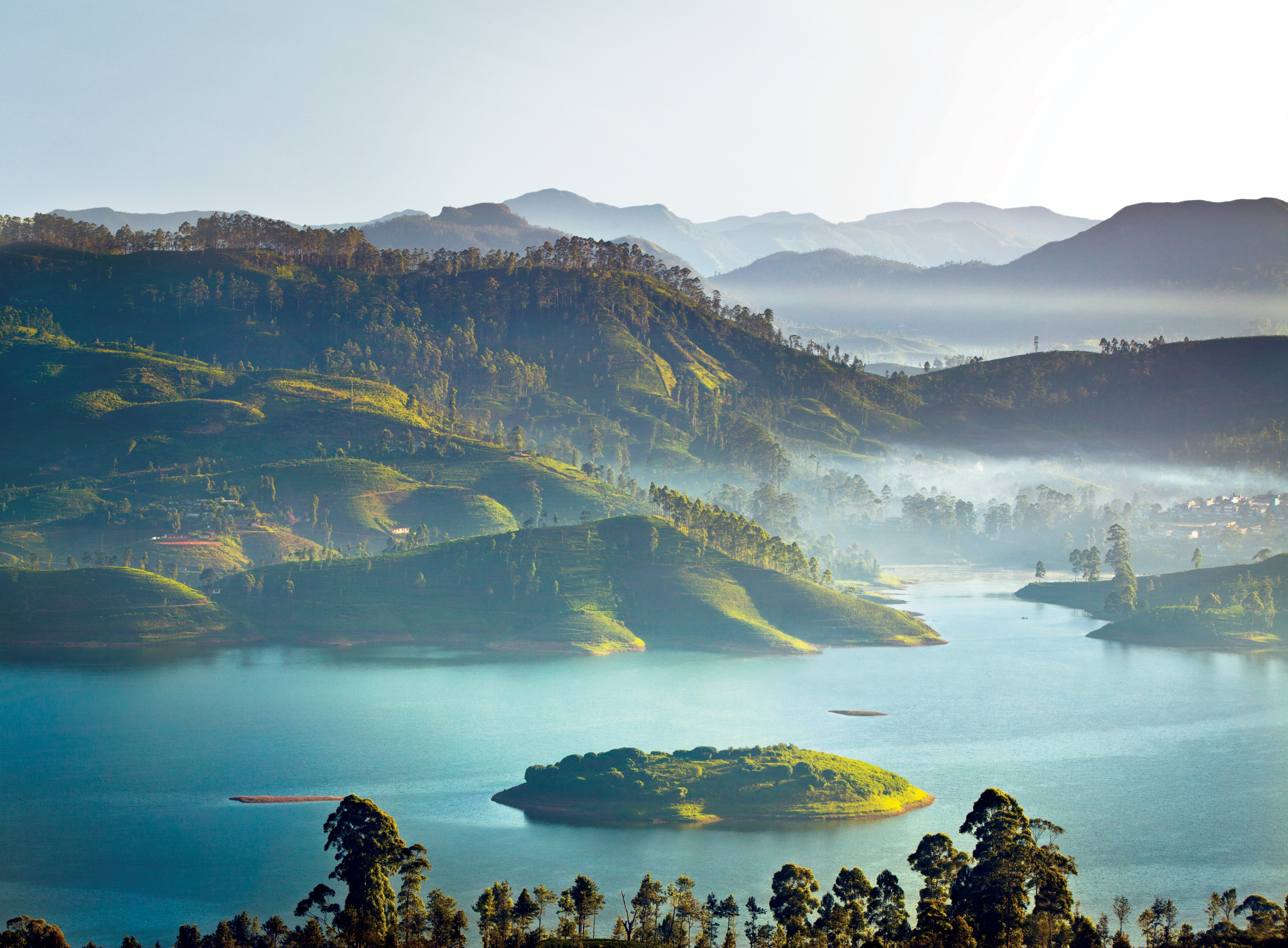 Ceylon Tea Trails