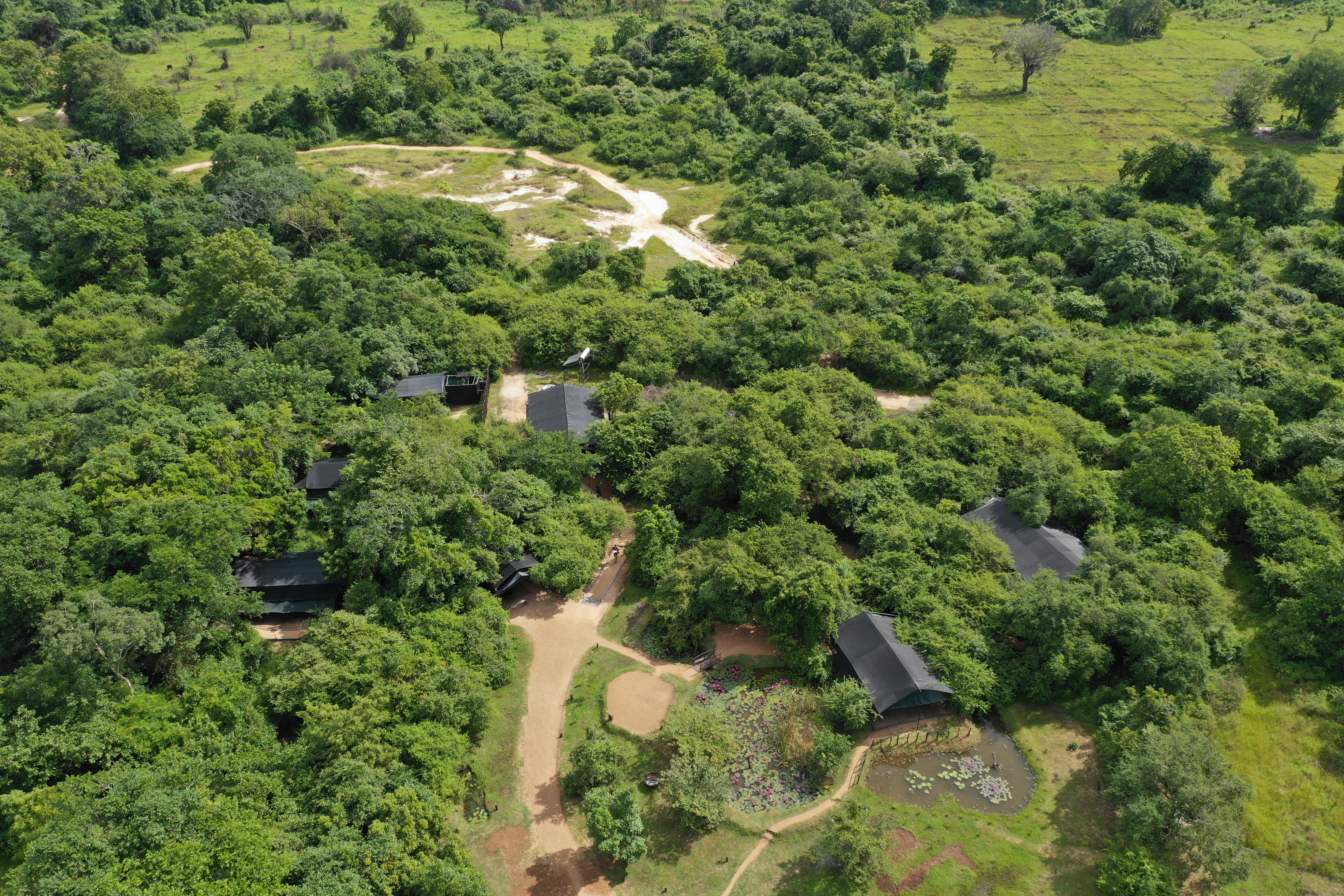 Leopard Trails