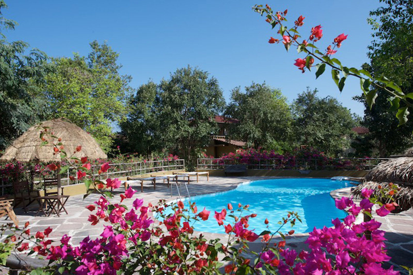 Forsyth Lodge, Satpura