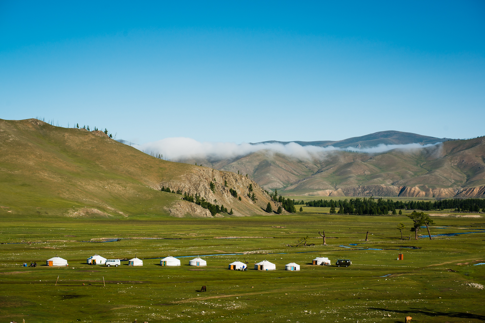 Nomadic Homestay (Galaa's Family)