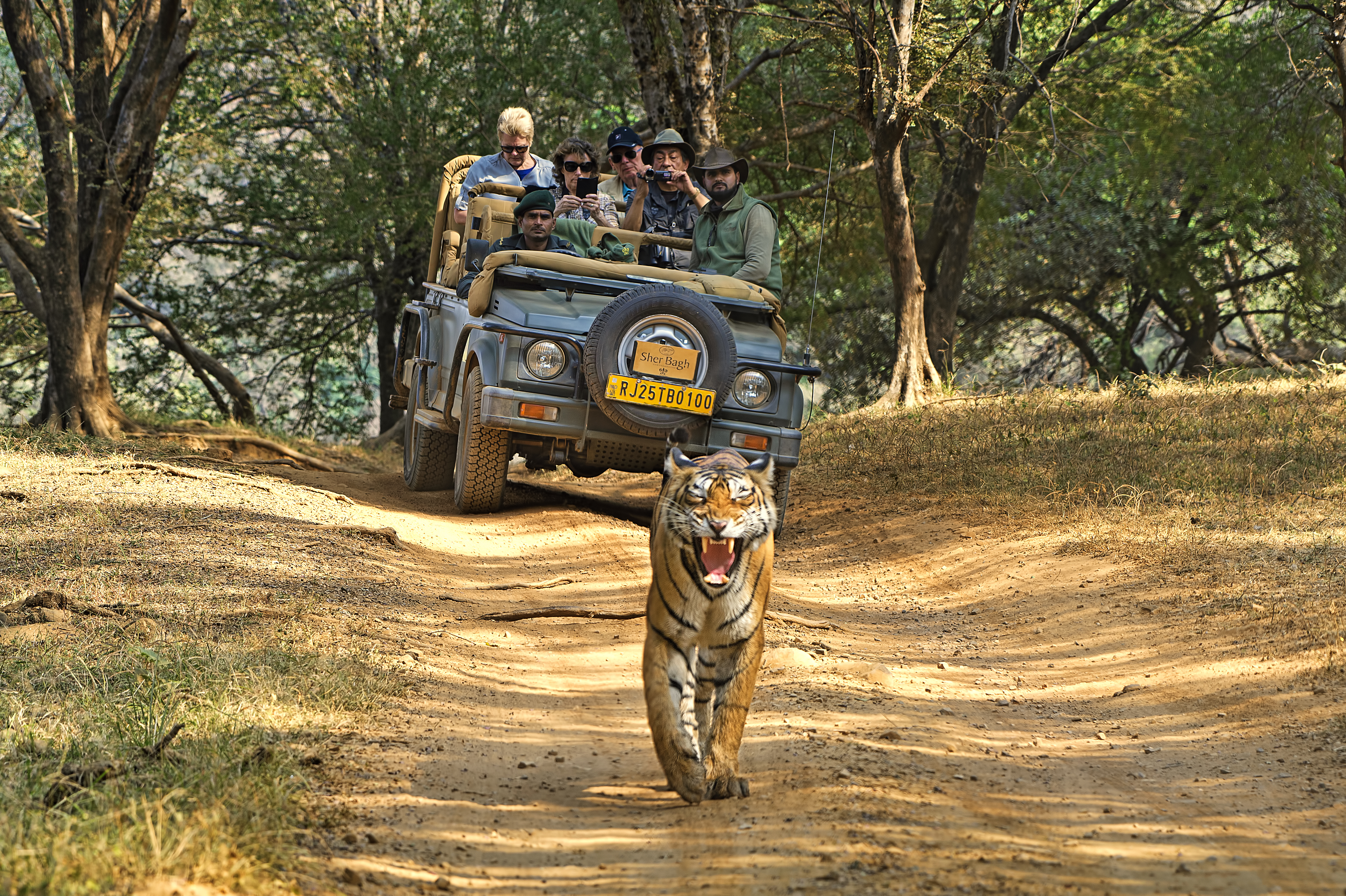 Suján Sher Bagh